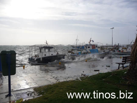 thalassa 124